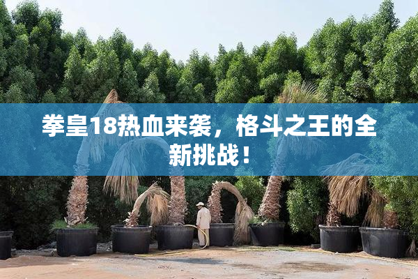 拳皇18热血来袭，格斗之王的全新挑战！