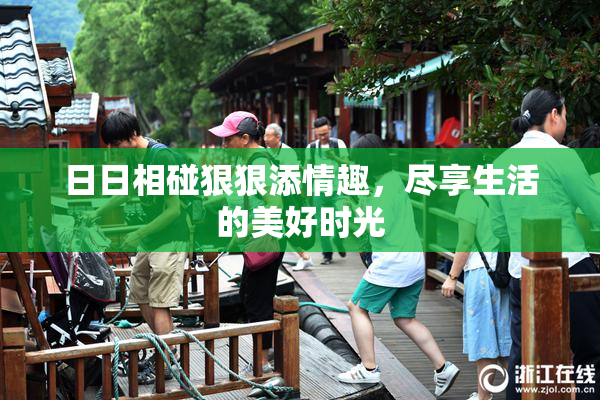 日日相碰狠狠添情趣，尽享生活的美好时光
