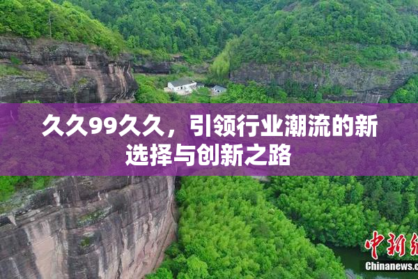 久久99久久，引领行业潮流的新选择与创新之路