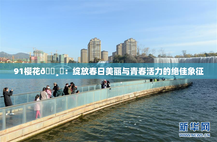 91樱花🌸‌：绽放春日美丽与青春活力的绝佳象征