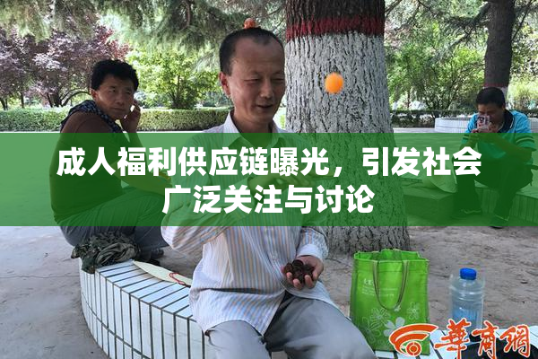 成人福利供应链曝光，引发社会广泛关注与讨论