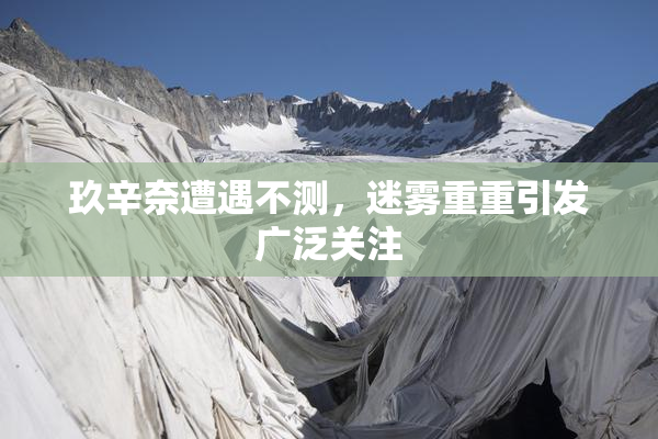 玖辛奈遭遇不测，迷雾重重引发广泛关注