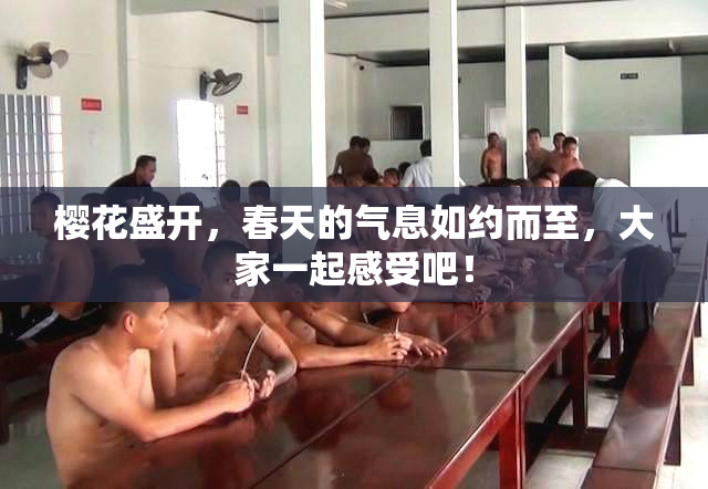 樱花盛开，春天的气息如约而至，大家一起感受吧！