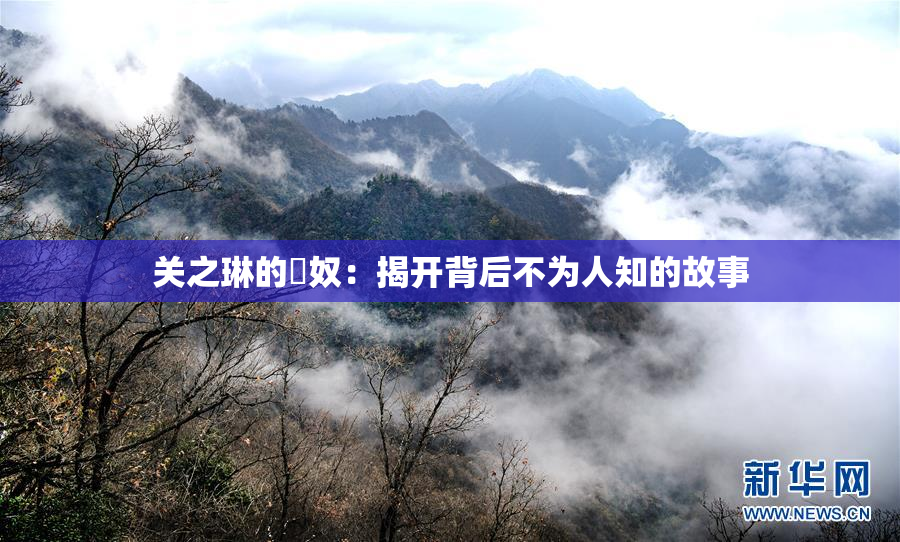 关之琳的婬奴：揭开背后不为人知的故事