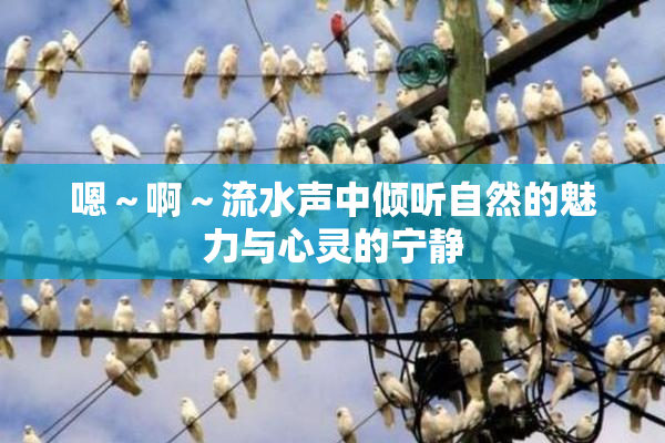 嗯～啊～流水声中倾听自然的魅力与心灵的宁静