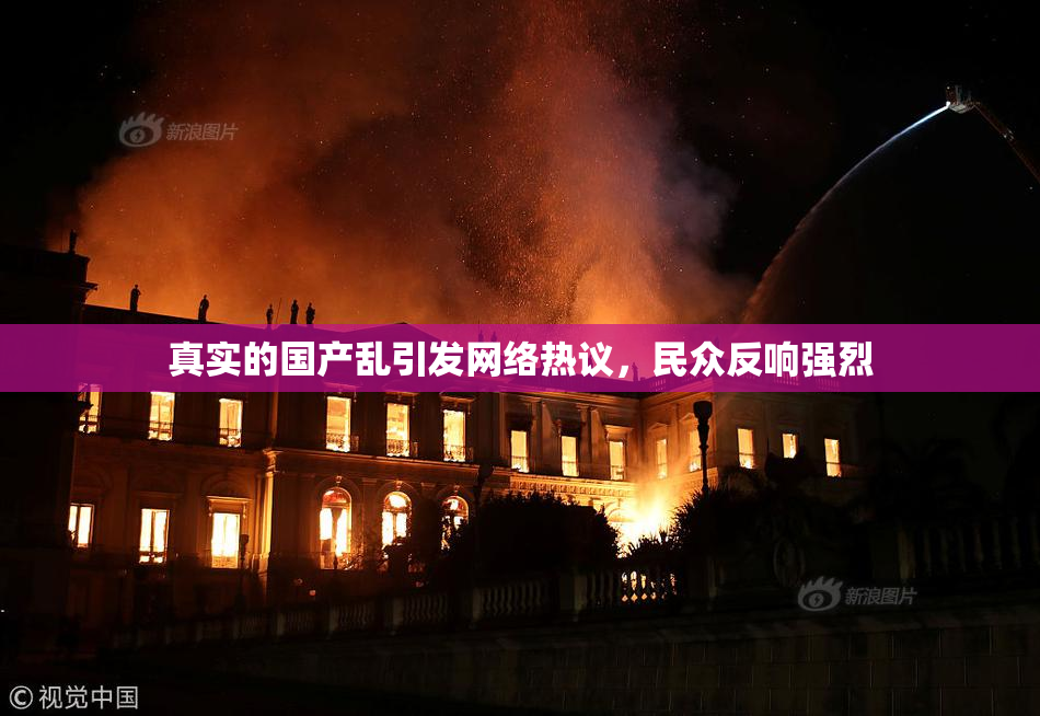 真实的国产乱引发网络热议，民众反响强烈