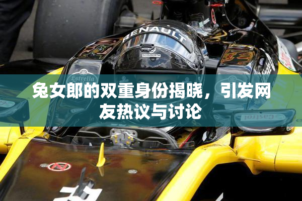 兔女郎的双重身份揭晓，引发网友热议与讨论