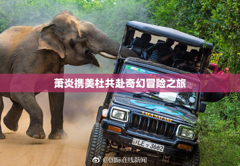 萧炎携美杜共赴奇幻冒险之旅