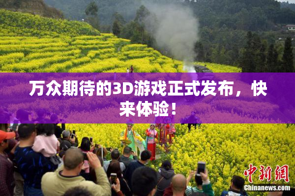 万众期待的3D游戏正式发布，快来体验！