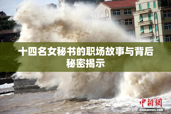 十四名女秘书的职场故事与背后秘密揭示