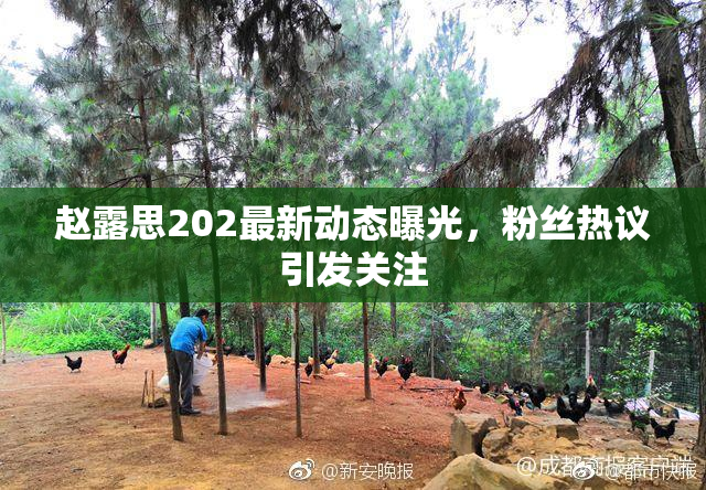 赵露思202最新动态曝光，粉丝热议引发关注