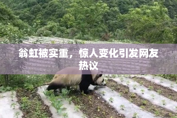 翁虹被实重，惊人变化引发网友热议