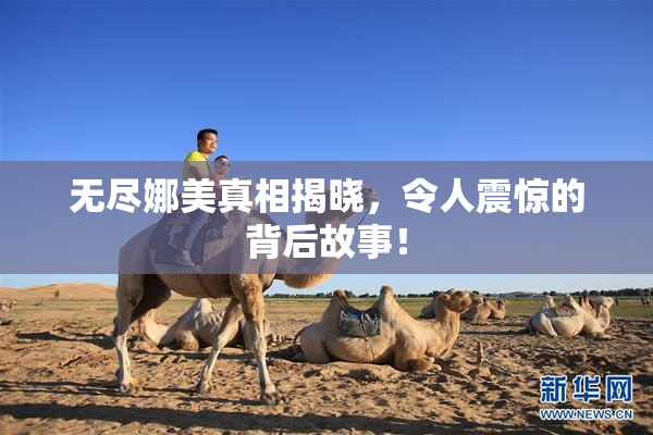 无尽娜美真相揭晓，令人震惊的背后故事！