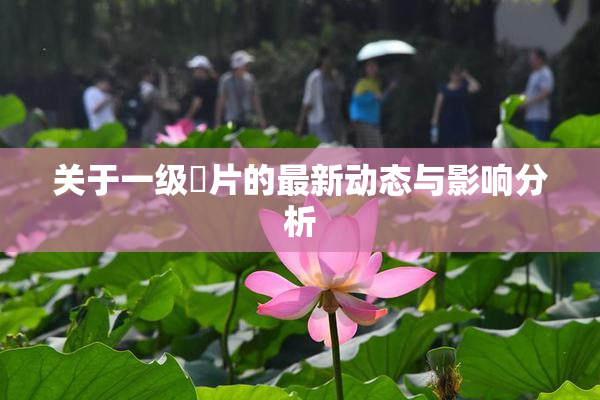 关于一级婬片的最新动态与影响分析