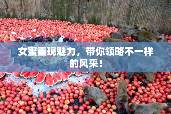 女蜜重现魅力，带你领略不一样的风采！