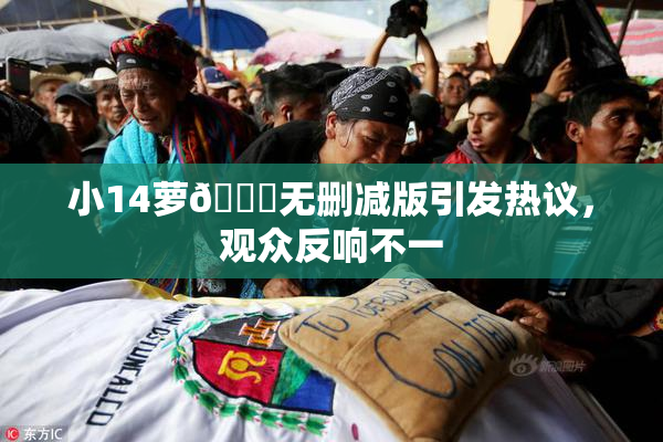 小14萝🔞无删减版引发热议，观众反响不一