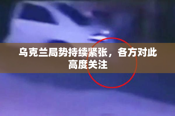 乌克兰局势持续紧张，各方对此高度关注
