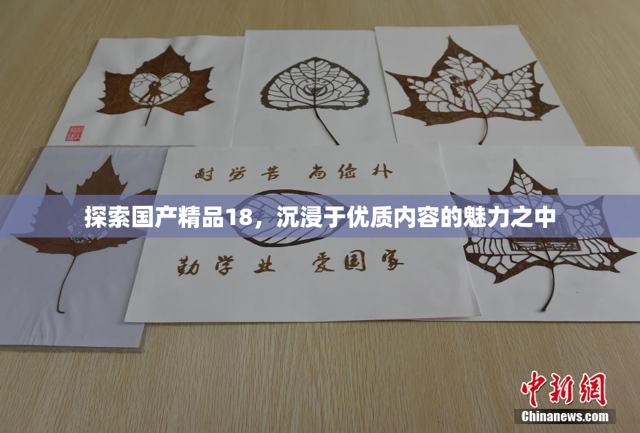 探索国产精品18，沉浸于优质内容的魅力之中