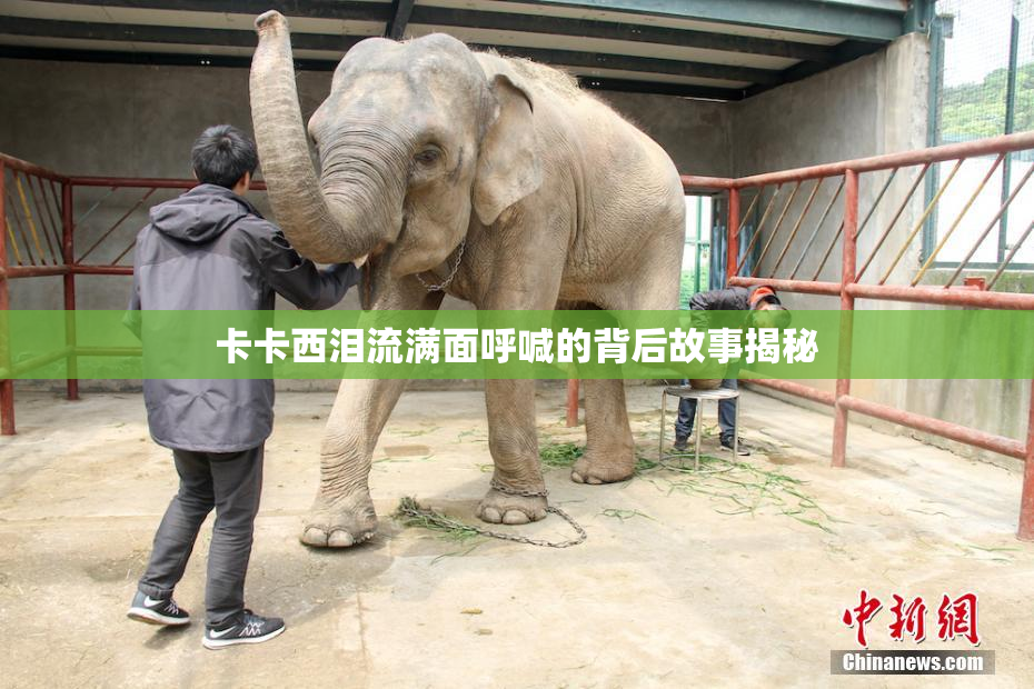 卡卡西泪流满面呼喊的背后故事揭秘