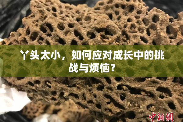 丫头太小，如何应对成长中的挑战与烦恼？