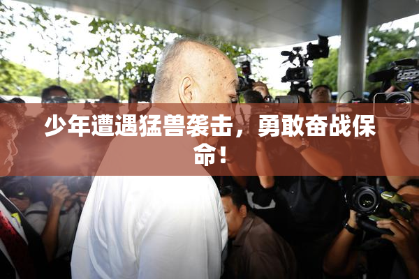 少年遭遇猛兽袭击，勇敢奋战保命！
