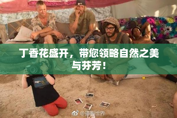 丁香花盛开，带您领略自然之美与芬芳！