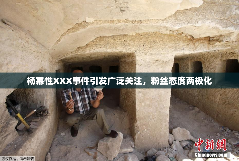杨幂性XXX事件引发广泛关注，粉丝态度两极化