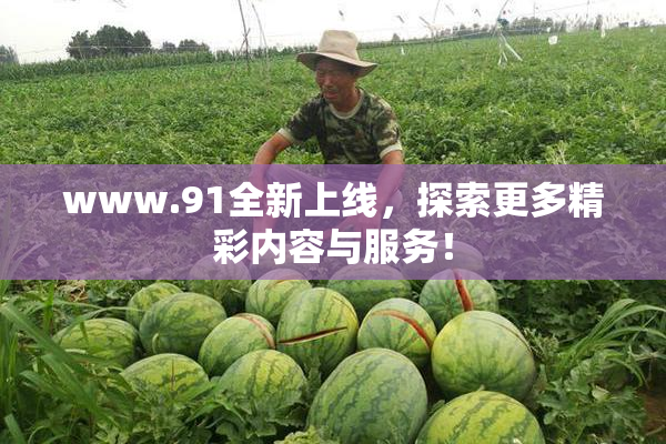 www.91全新上线，探索更多精彩内容与服务！
