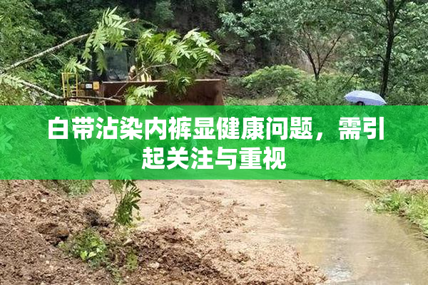 白带沾染内裤显健康问题，需引起关注与重视