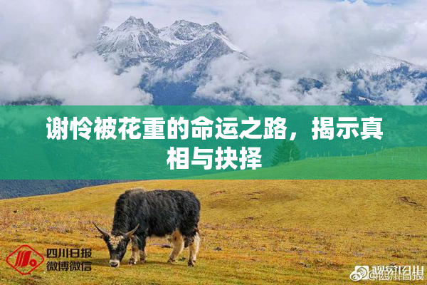 谢怜被花重的命运之路，揭示真相与抉择