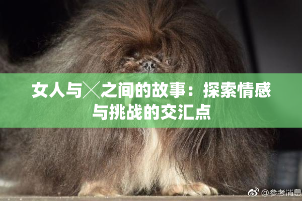 女人与╳之间的故事：探索情感与挑战的交汇点