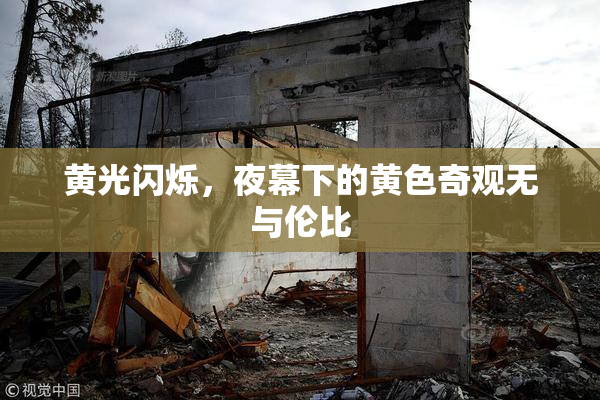 黄光闪烁，夜幕下的黄色奇观无与伦比