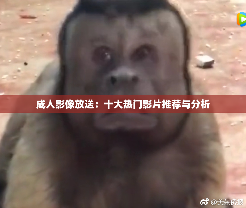 成人影像放送：十大热门影片推荐与分析