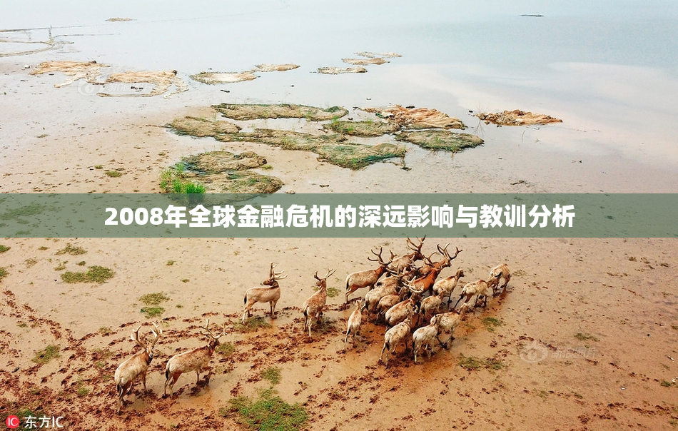 2008年全球金融危机的深远影响与教训分析