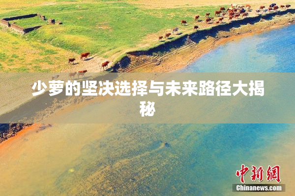 少萝的坚决选择与未来路径大揭秘