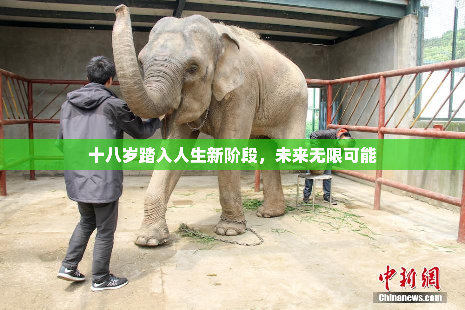 十八岁踏入人生新阶段，未来无限可能