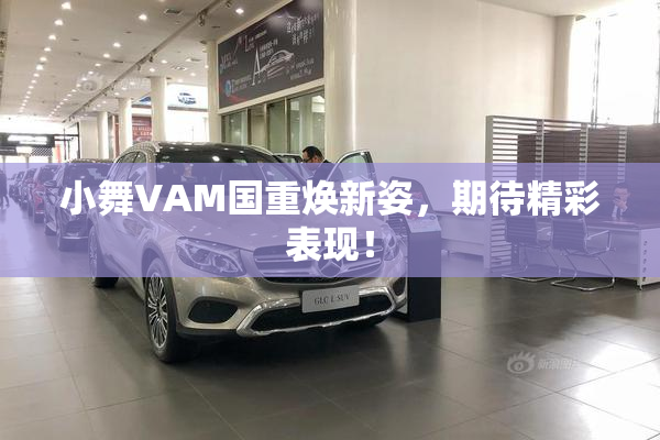 小舞VAM国重焕新姿，期待精彩表现！