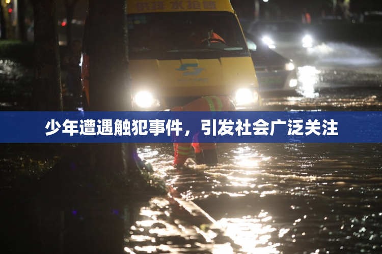 少年遭遇触犯事件，引发社会广泛关注