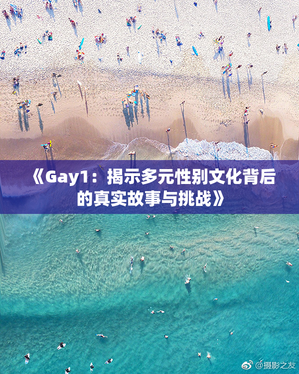 《Gay1：揭示多元性别文化背后的真实故事与挑战》