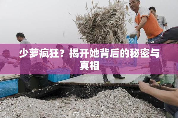 少萝疯狂？揭开她背后的秘密与真相