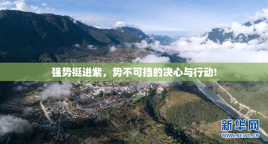 强势挺进紫，势不可挡的决心与行动!