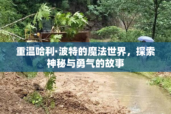 重温哈利·波特的魔法世界，探索神秘与勇气的故事