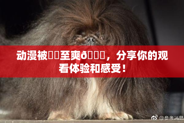 动漫被❌‌至爽🔞，分享你的观看体验和感受！