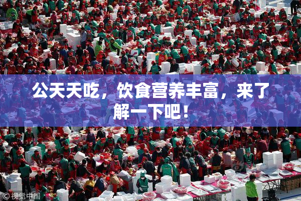 公天天吃，饮食营养丰富，来了解一下吧！