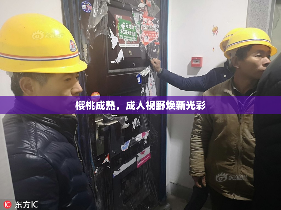 樱桃成熟，成人视野焕新光彩