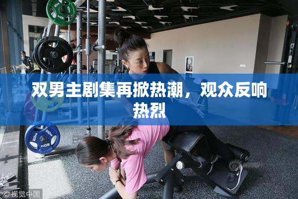 双男主剧集再掀热潮，观众反响热烈