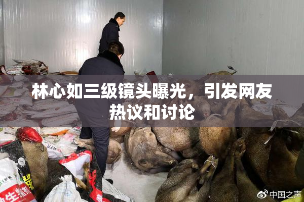 林心如三级镜头曝光，引发网友热议和讨论