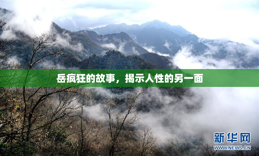 岳疯狂的故事，揭示人性的另一面