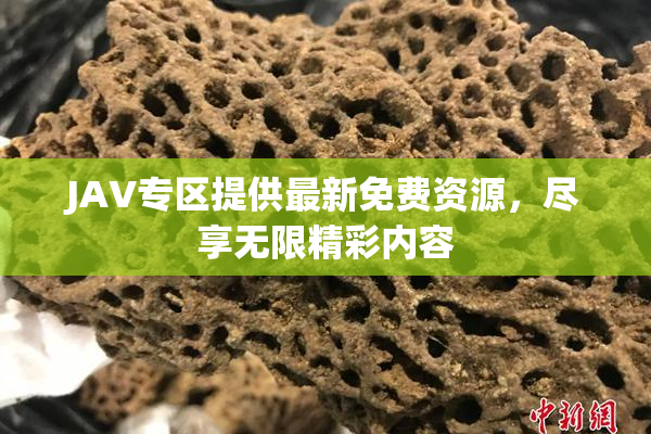 JAV专区提供最新免费资源，尽享无限精彩内容