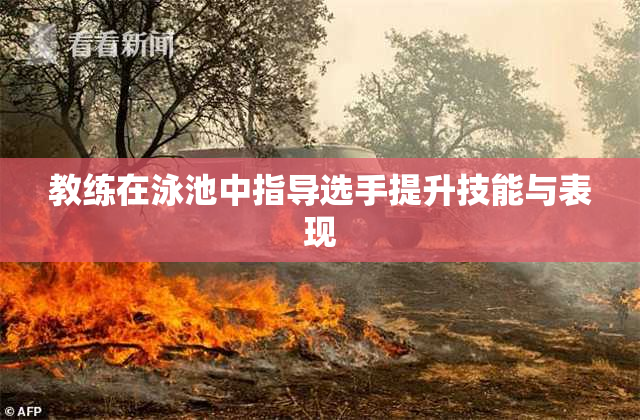 教练在泳池中指导选手提升技能与表现
